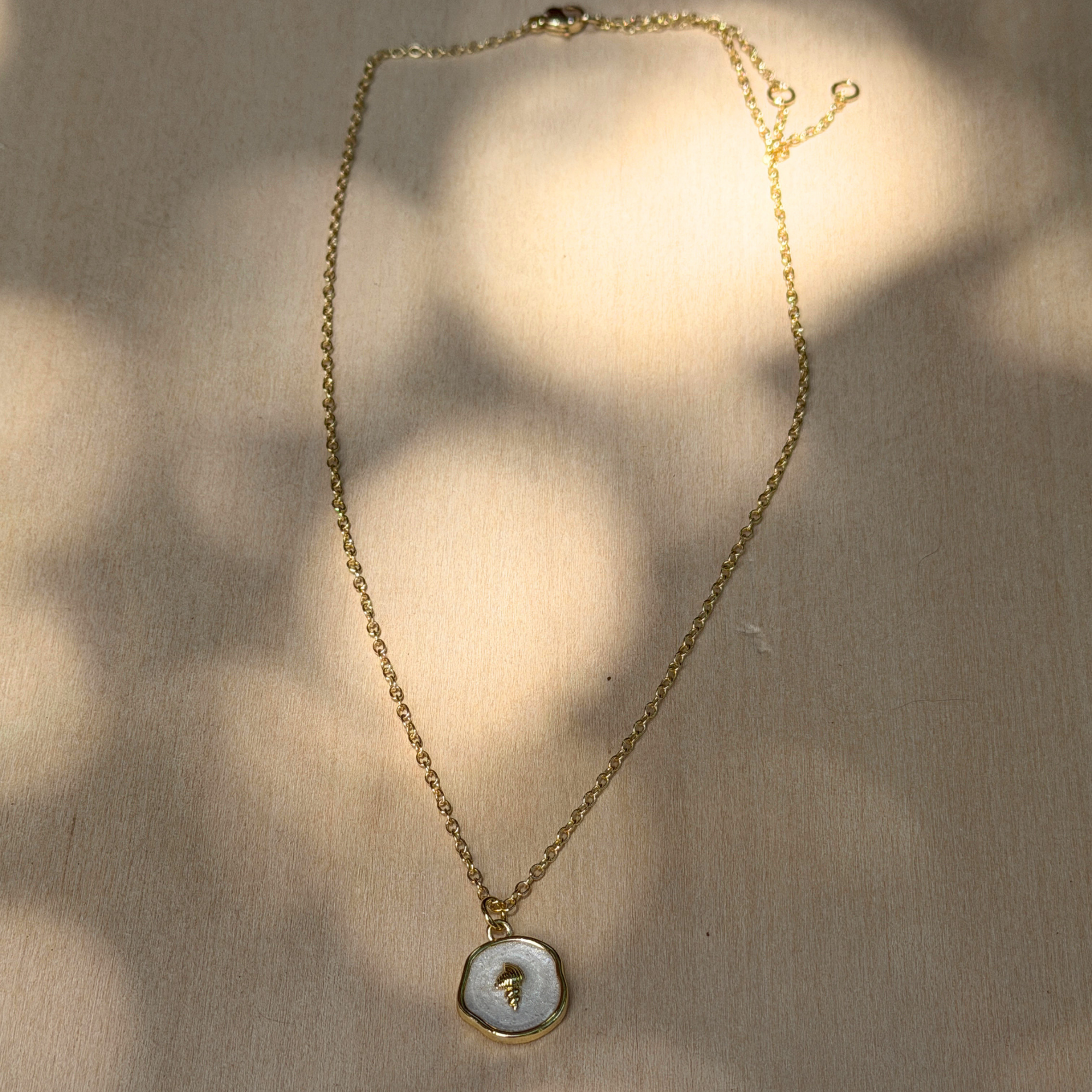 Hidden Treasure Necklace